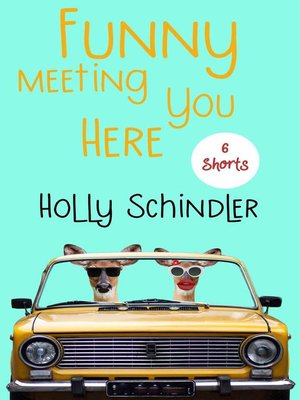 cover image of Funny Meeting You Here